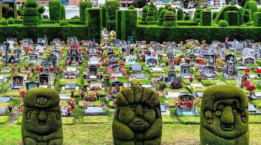 🔵 El Cementerio de Tulcán, famoso por sus esculturas de ciprés, implementará una tarifa de ingreso para turistas nacionales y extranjeros, con el objetivo de financiar su mantenimiento y preservación. Los residentes de la provincia del Carchi estarán exentos de este cobro.