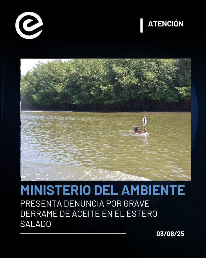 🔵 Grave atentado ambiental en el Estero Salado