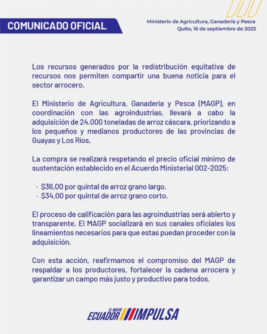 MAGAP apoya a productores de arroz con la compra de 24.000 toneladas