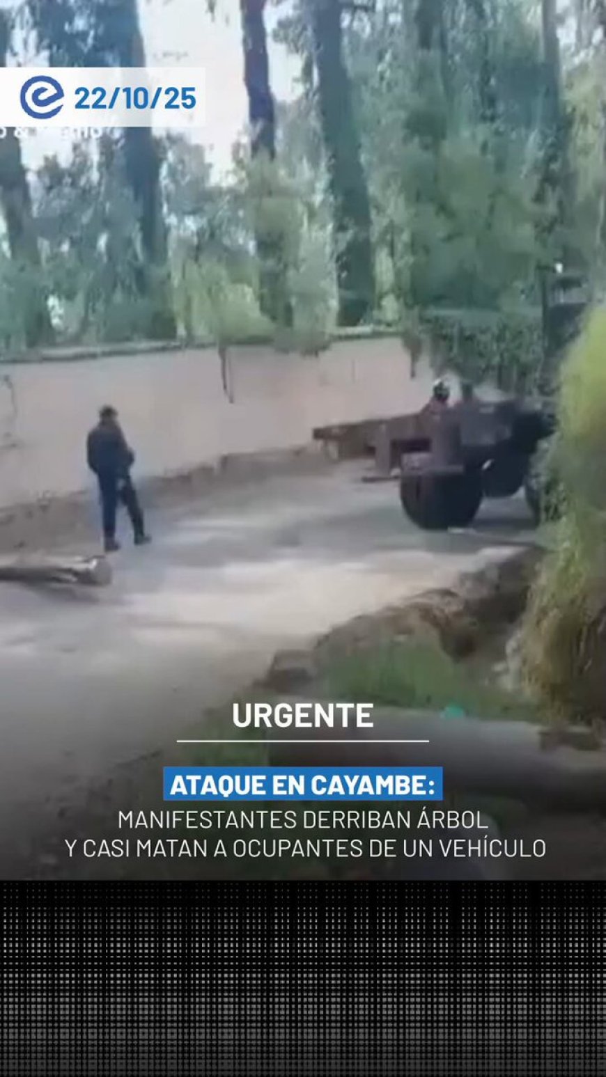 Árbol derribado por manifestantes indígenas en Cayambe pone en riesgo a ocupantes de vehículo