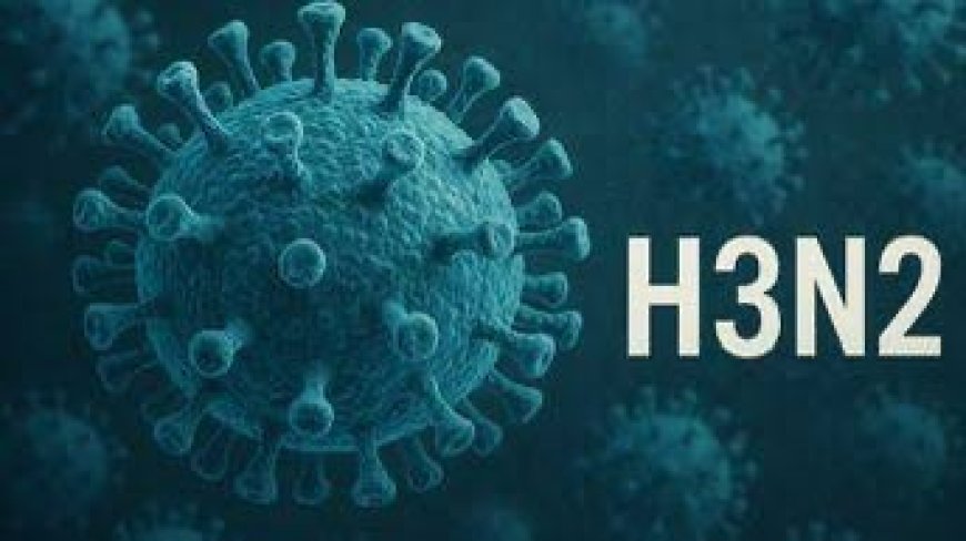 MSP confirma el primer caso de influenza A (H3N2) variante K en el país El primer caso de influenza A (H3N2) variante K en el país, correspondiente a un paciente en el austro del país. El caso ha sido identificado oportunamente y el paciente se encuentra bajo seguimiento médico, cumpliendo los protocolos establecidos para este tipo de infección respiratoria, sostuvo en un comunicado el MSP.