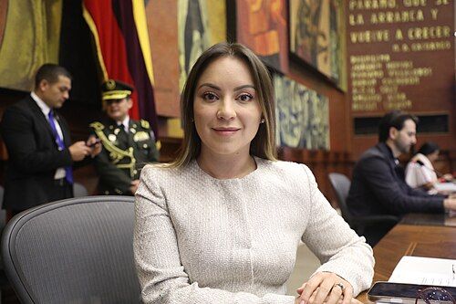 Mishel Mancheno asume licencia por maternidad y Esteban Torres toma la presidencia provisional
