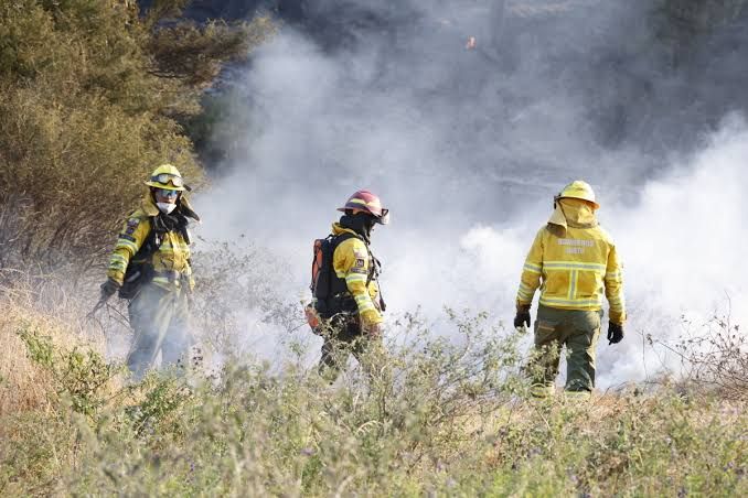Emergencias ambientales en Quito y Carchi exigen coordinación estatal ante incendios forestales