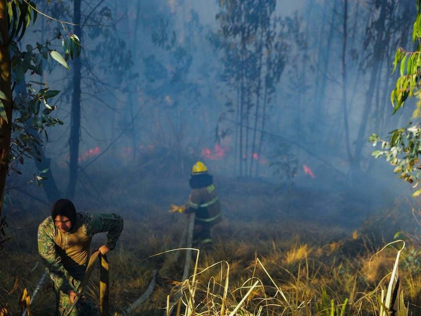 COE de Ambato se activa ante incendios forestales y coordina respuesta