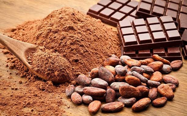 Evidencia confirma que Ecuador es cuna mundial del chocolate hace 5300 años