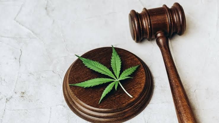 La prohibición del cannabis recreativo reactiva el estanco ilegal y la inseguridad en Ecuador