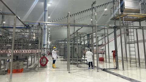Industrias ecuatorianas ajustan horarios ante racionamiento eléctrico y buscan estabilidad energética