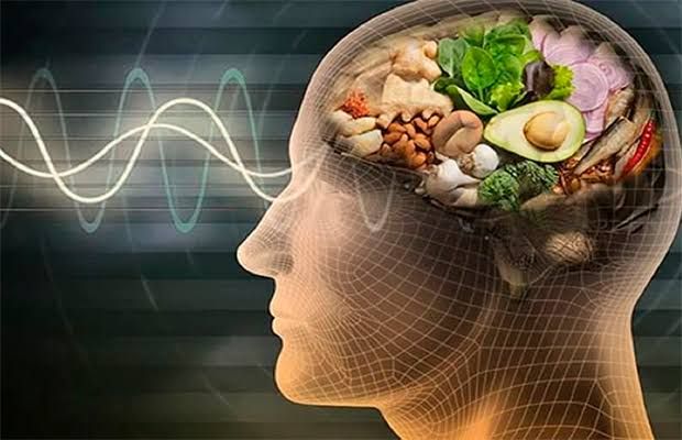 Dr. Luis Yépez: La alimentación impacta directamente en la salud neurológica