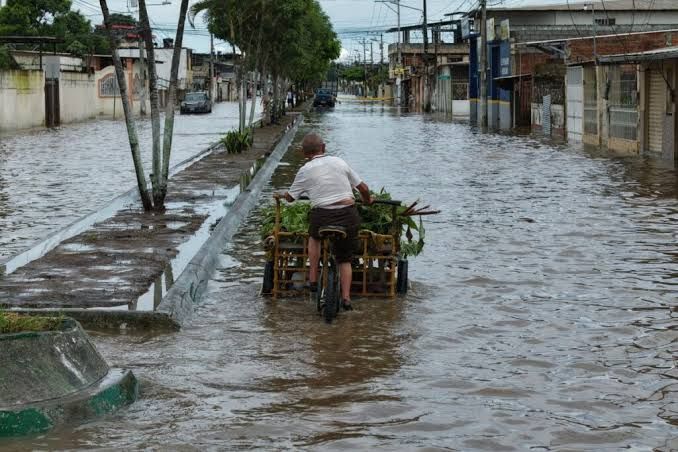 Lecciones del Niño 98: El uso del suelo agrava inundaciones