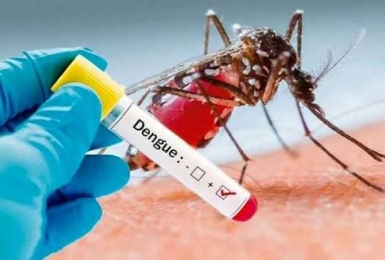Ecuador restringe venta de antiinflamatorios para combatir epidemia de dengue