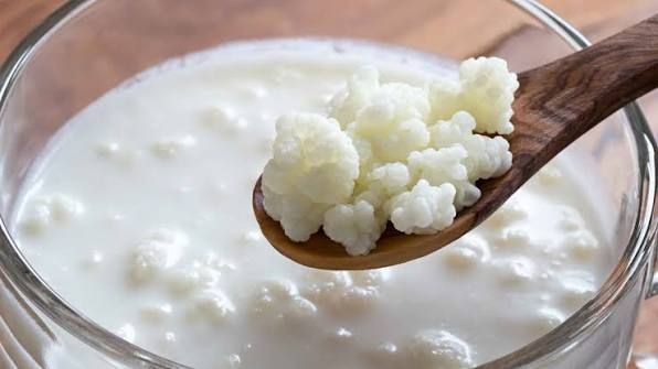 Kéfir en Ecuador: Beneficios comprobados para la salud intestinal y recomendaciones oficiales