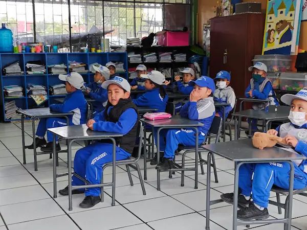 Crisis educativa: El Consejo Nacional de Educación lleva 14 años inactivo sin cumplir su mandato constitucional