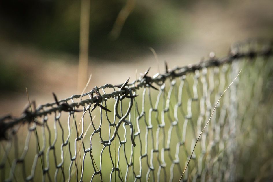 Ecuador deporta a ciudadano colombiano de Tulcán por ser riesgo para la seguridad pública