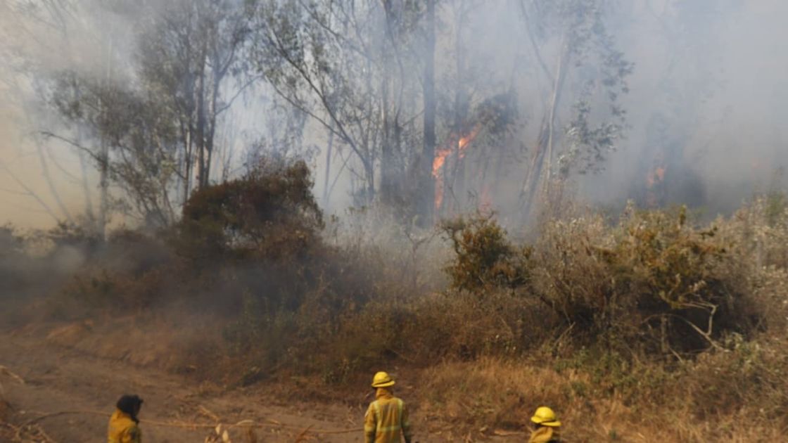 Quito mantiene siete barrios en monitoreo por humo de incendio forestal