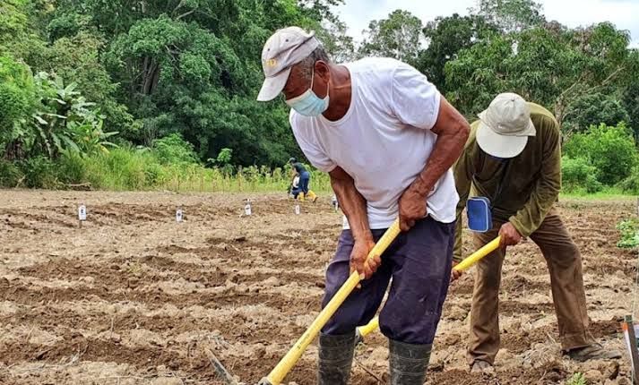 Gobierno impulsa a pequeños agricultores con financiamiento en cuatro provincias clave del litoral