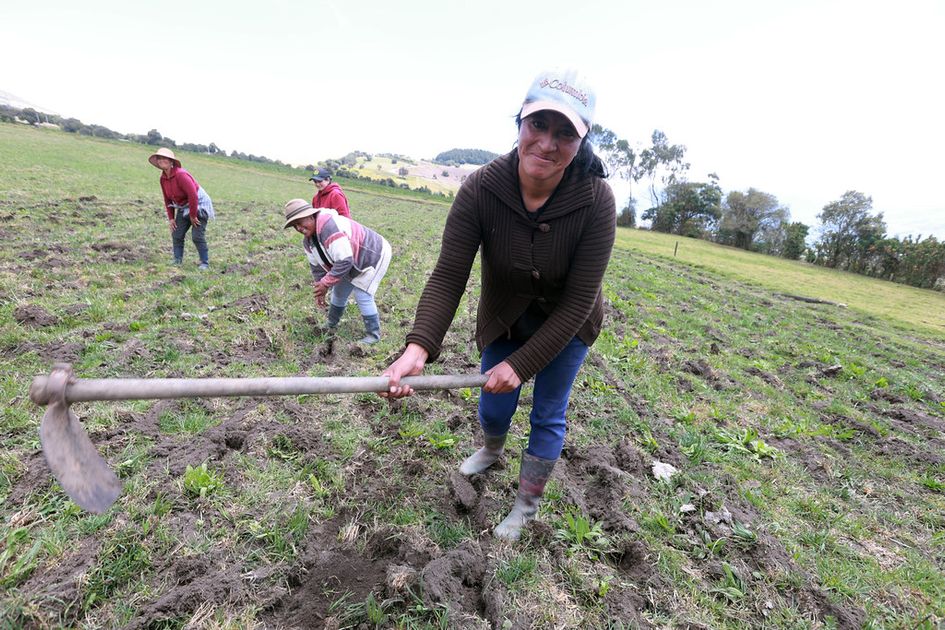 Ecuador en duelo nacional: Banderas a media asta tras fallecimiento del hijo del presidente