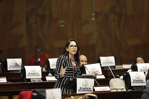Audiencia contra Luisa González por caso Laberinto se instala tras fallo técnico