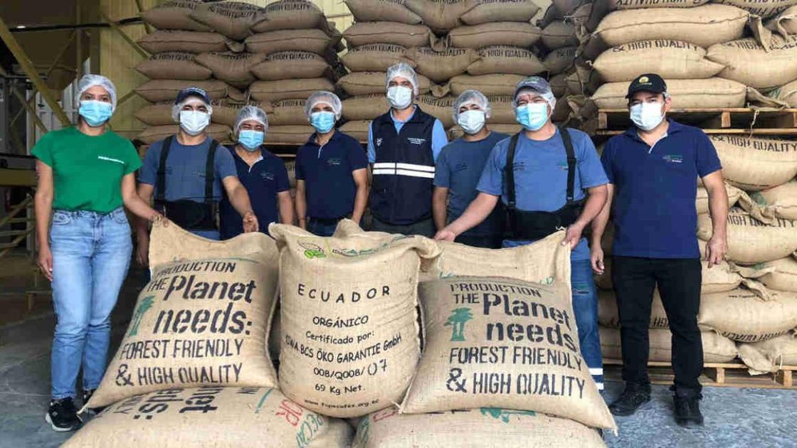 Café oro ecuatoriano: Pequeños productores lideran exportaciones premium a Europa