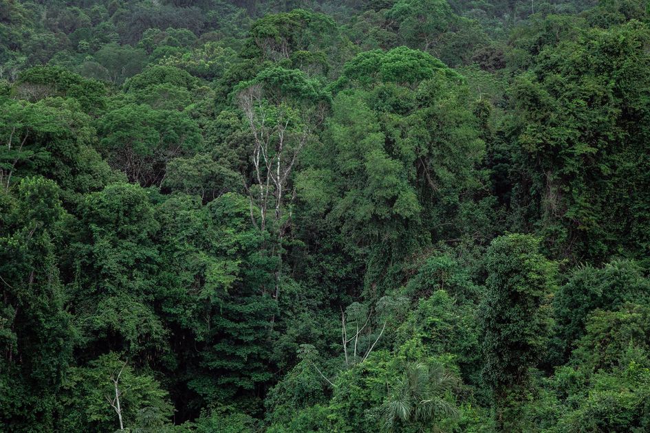 Gobierno refuerza gestión de riesgos en la Amazonía ante El Niño