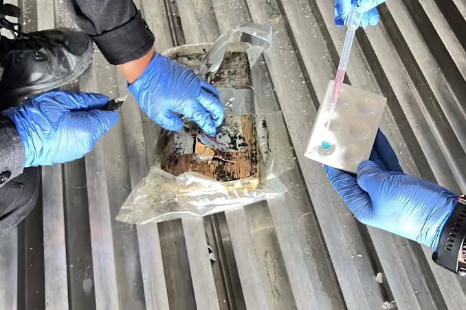 Juez ordena prisión preventiva por tráfico de cocaína en Puerto DP World
