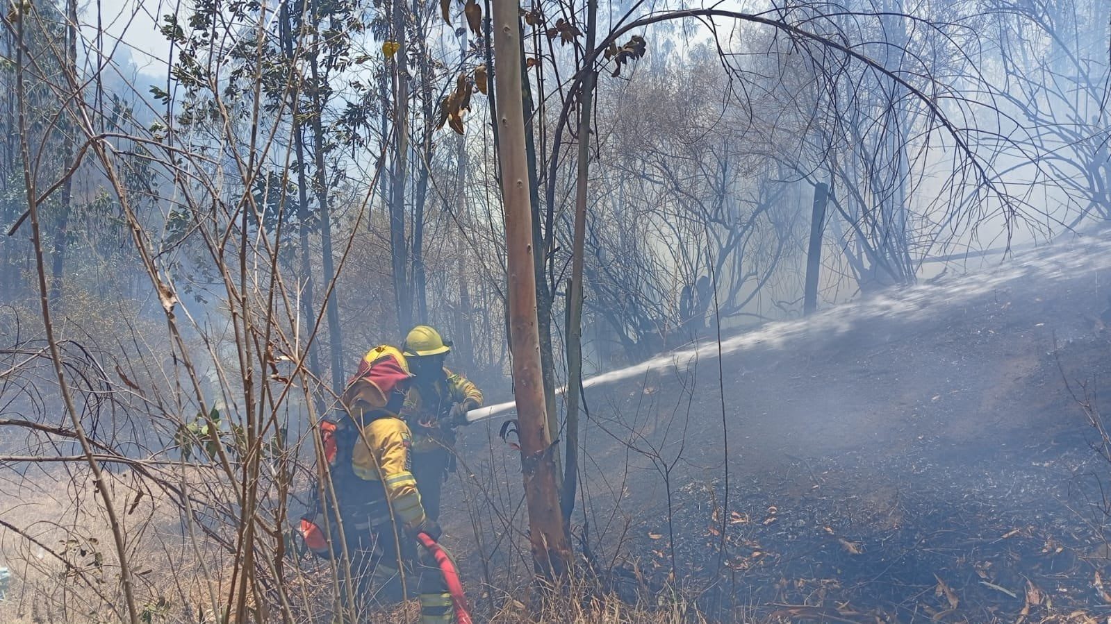 Incendio forestal en El Quinche fue controlado; Quito refuerza alerta por quemas ilegales