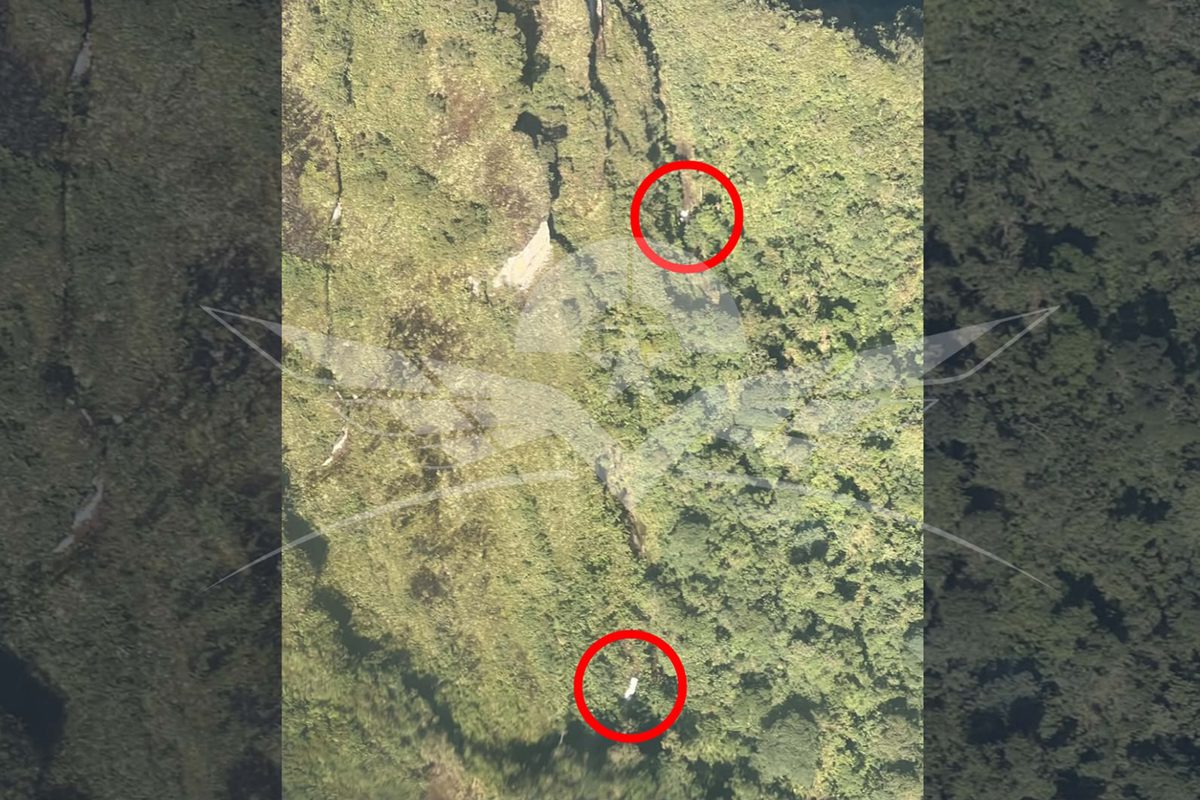 Cinco ocupantes fallecen tras accidente aéreo en Colombia; avioneta se estrelló cerca a la capital
