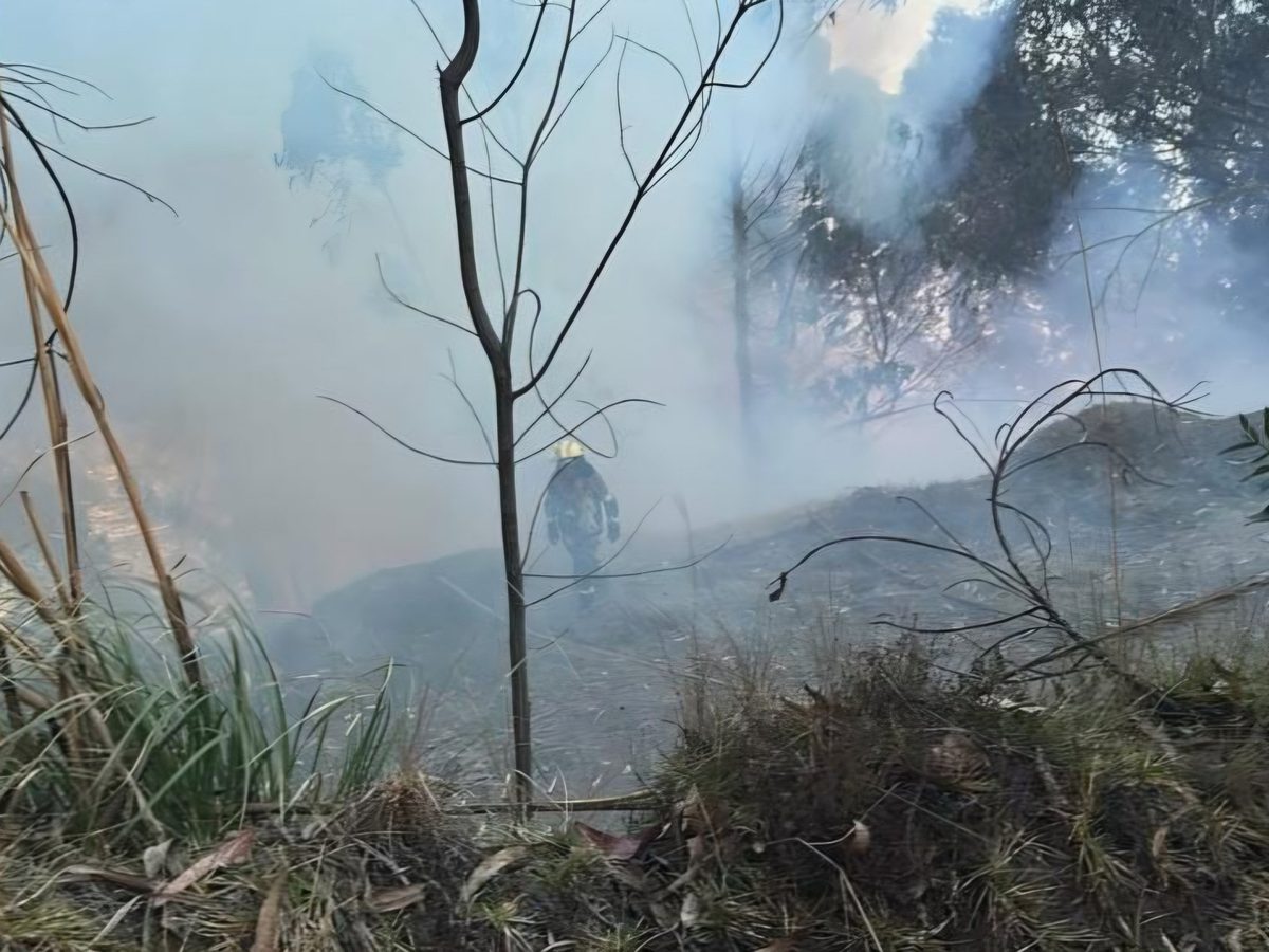 Ecuador enfrenta nueve incendios forestales activos en seis provincias bajo alerta ambiental
