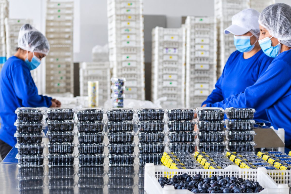 Exportaciones ecuatorianas de frutas tropicales registran fuerte crecimiento en el primer semestre del año