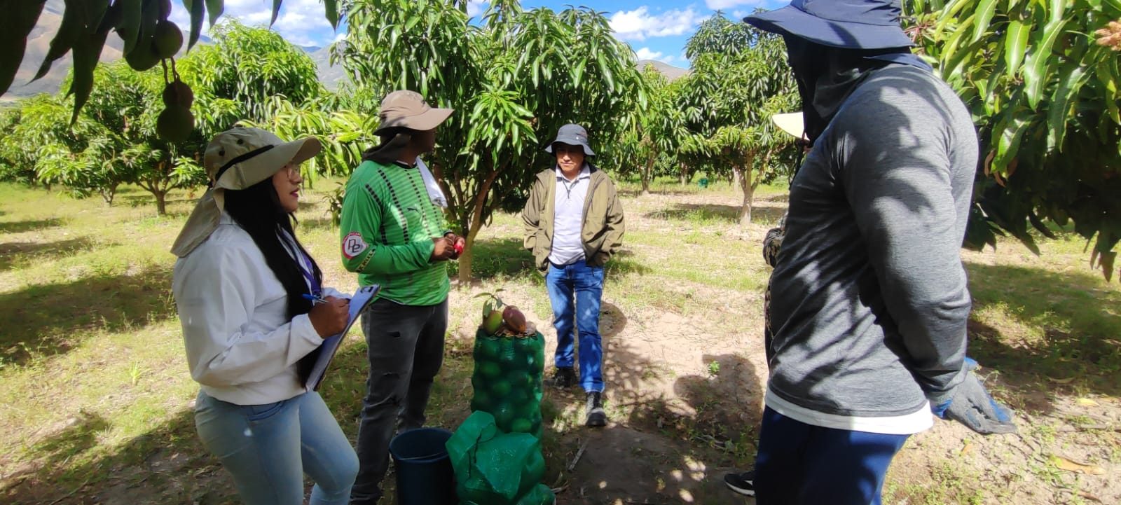 Gobierno Nacional obtiene USD 63 millones por ventas agropecuarias directas eliminando intermediarios