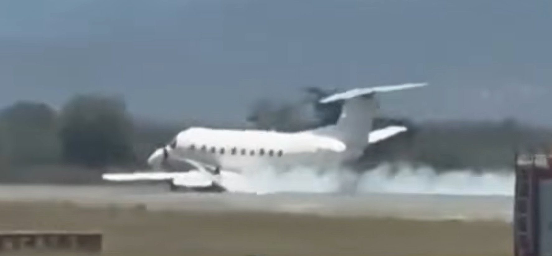 Avión con 30 pasajeros aterriza seguro tras colisión con cebra durante despegue en Tanzania