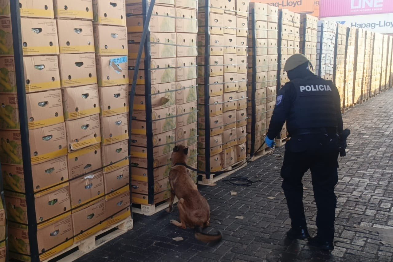 Policía Nacional desmantela red narcotraficante y asegura 1080 cajas de plátano con cocaína