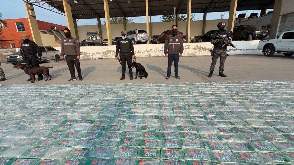 Policía Nacional desarticula red narcotraficante e incauta 1.2 toneladas de cocaína en Guayaquil