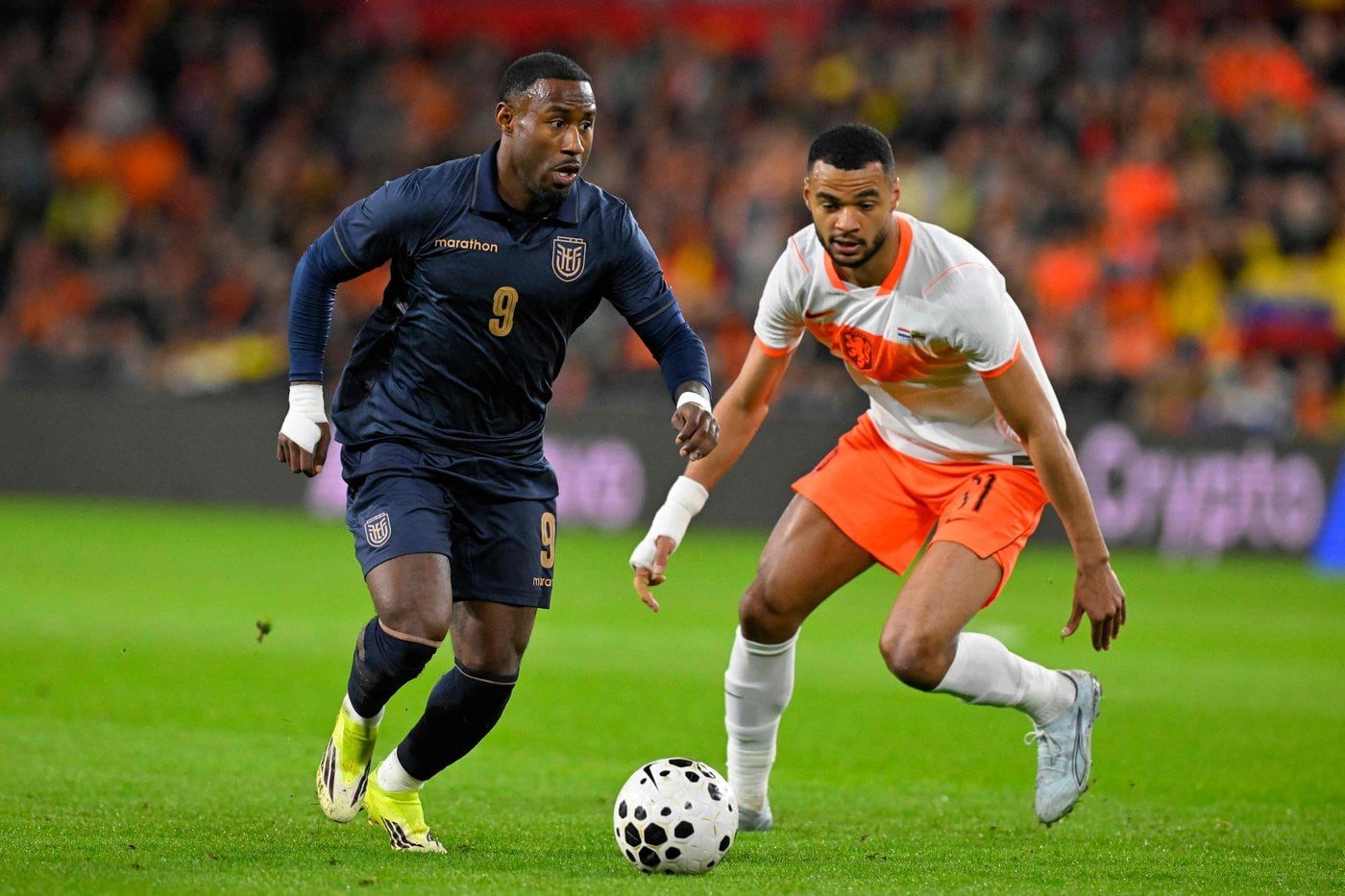 La Selección Ecuatoriana Empata 1-1 Con Países Bajos en Amistoso Previo al Mundial 2026