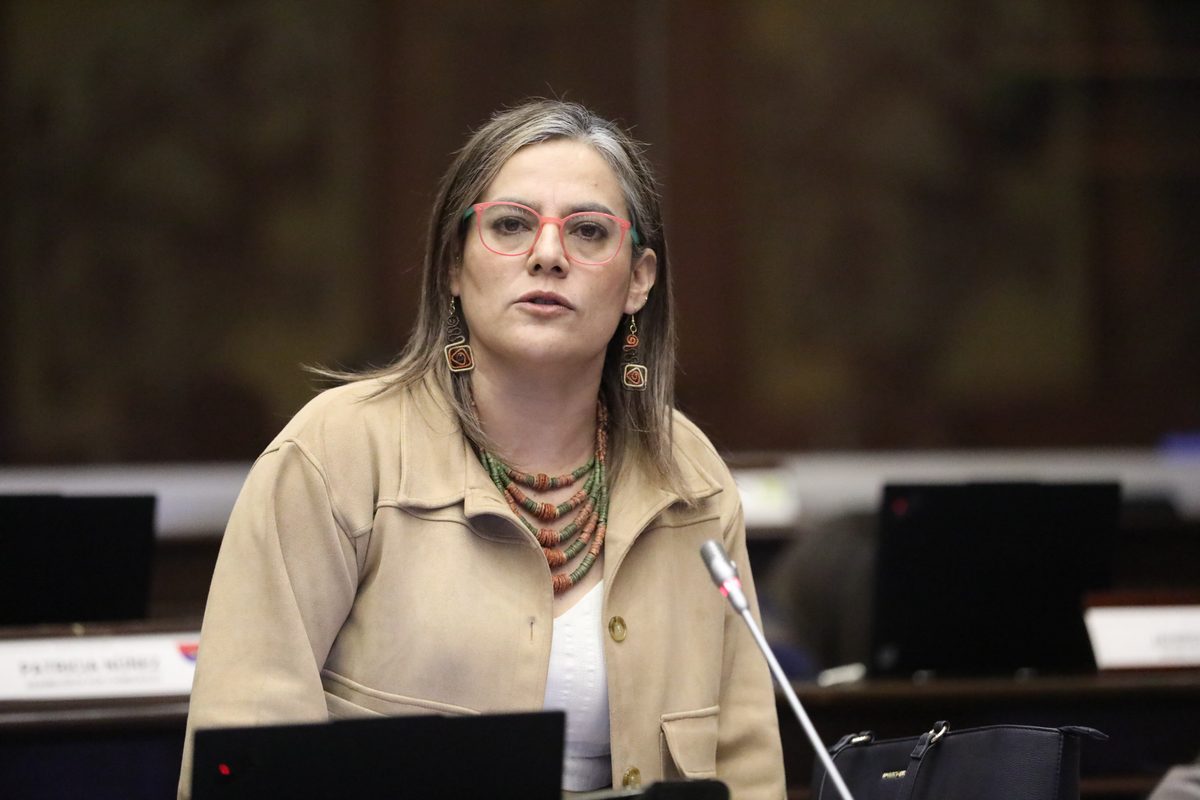Verónica Íñiguez asume presidencia de la Comisión de Garantías Constitucionales de la Asamblea Nacional