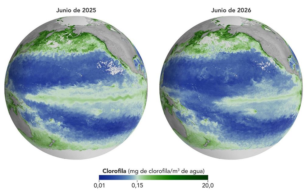 NASA confirma impacto de El Niño en la vida marina del Pacífico
