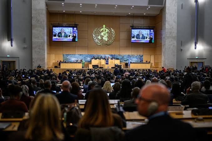 La Asamblea Mundial de la Salud inicia sus debates bajo la sombra de las crisis de ébola y hantavirus