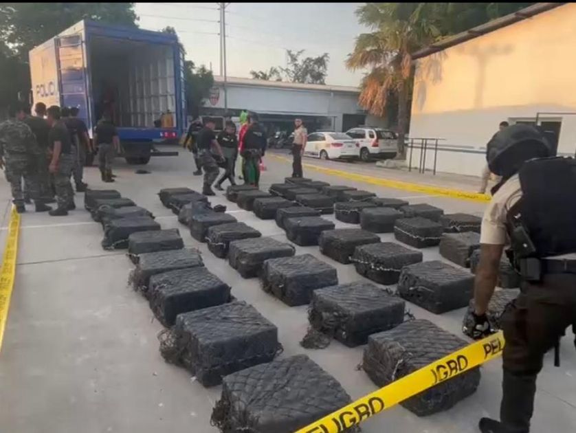 Colombia representa una amenaza directa para la seguridad de Ecuador por su producción récord de coca