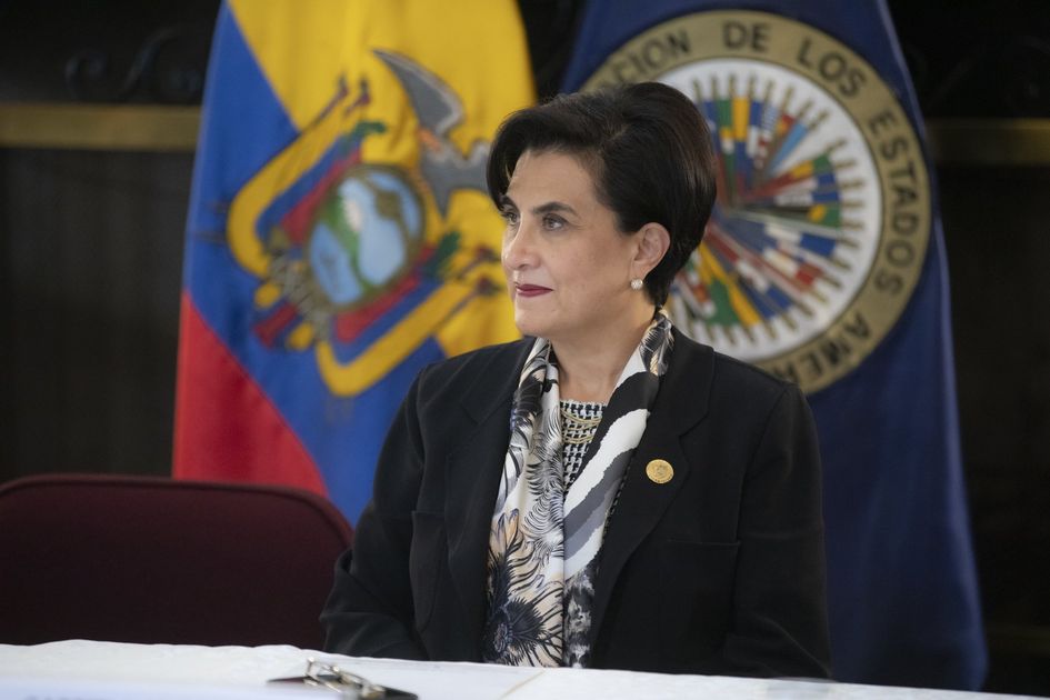 Canciller Sommerfeld exige a Colombia mayor control fronterizo y supervisión sobre producción de drogas