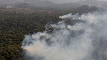 Bolivia declara emergencia por incendios forestales en Tarija que afectan 5 mil hectáreas