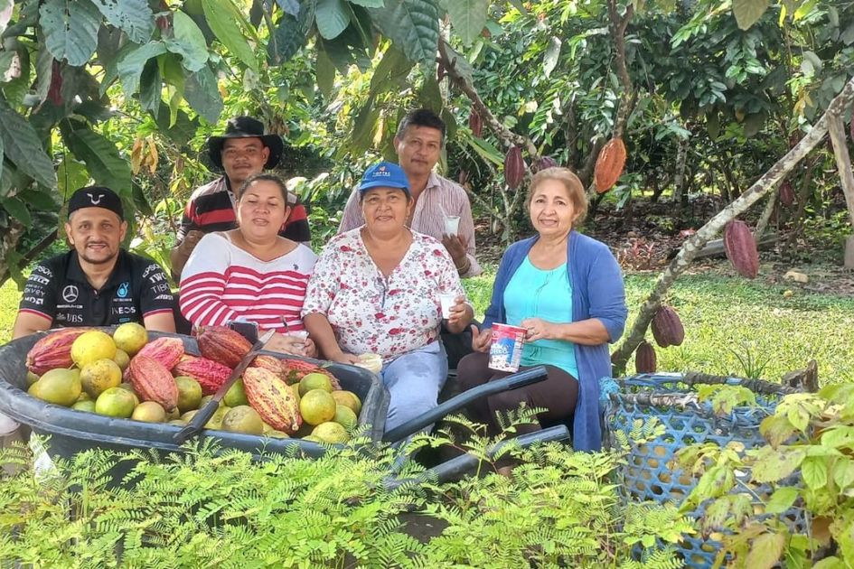 Cacao ecuatoriano: la asociatividad del pequeño productor como motor de exportación