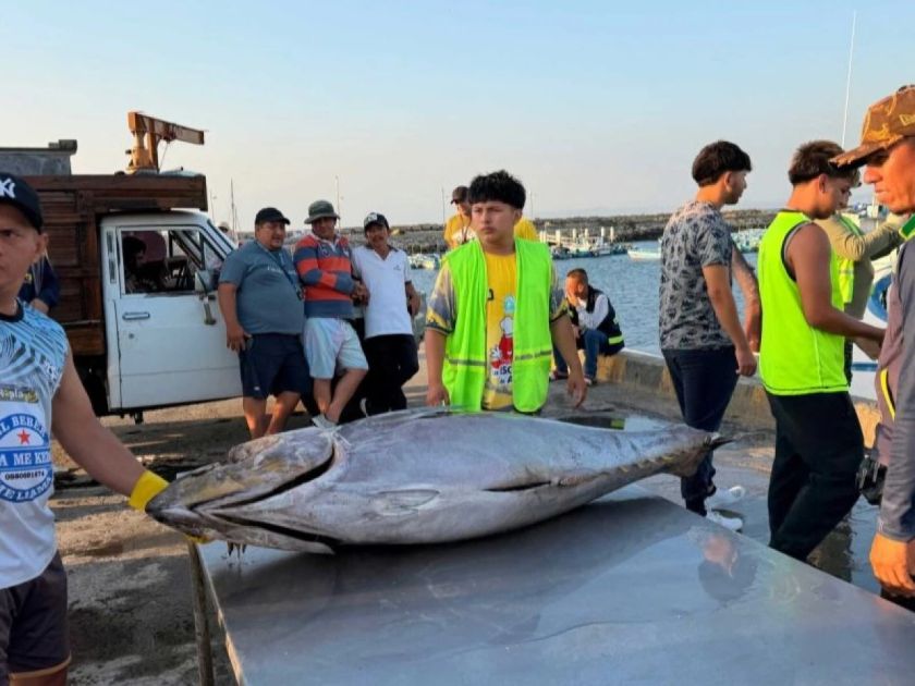 Gobierno amplía cobertura del Seguro Social Campesino a pescadores artesanales
