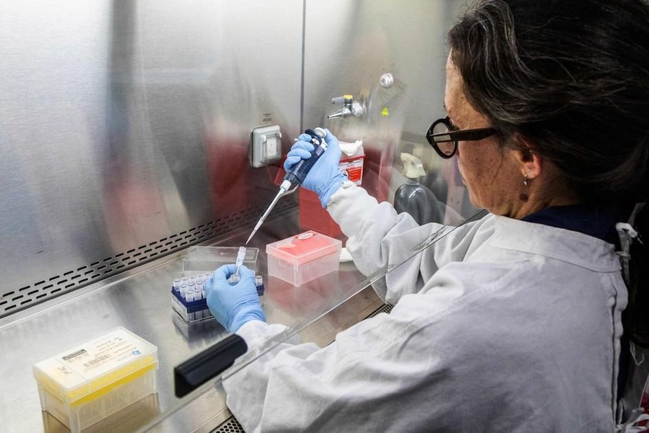 Ecuador mantiene cero casos de Hantavirus bajo estricta alerta epidemiológica y vigilancia sanitaria