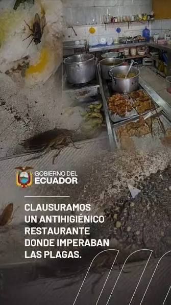 ARCSA clausura comedor popular en La Garzota por plagas e infrahumanidad sanitaria