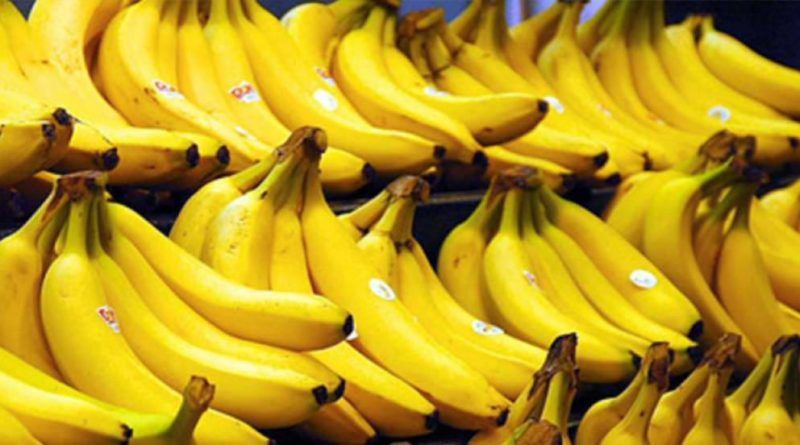 Ecuador consolida récord histórico de exportaciones con superávit comercial impulsado por minería y banano