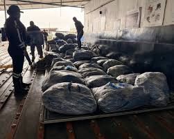 Decomisan 21.897 aletas de tiburón en aeropuerto de Guayaquil