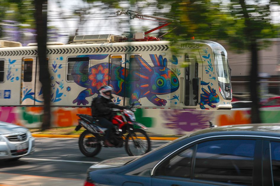Alerta por extinción del ajolote mientras México lo usa para el Mundial 2026