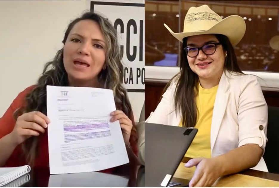 La CAL niega la habilitación de Priscila Schettini y ratifica a la legisladora Annie Muñoz en la Asamblea