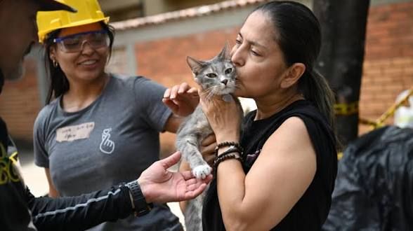 Milagro en Colombia: Rescatan con vida a Ana María y al gato Polux tras derrumbe