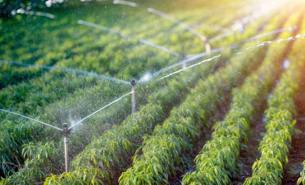 Gobierno destina 42,4 millones de dólares para modernizar el agro ecuatoriano