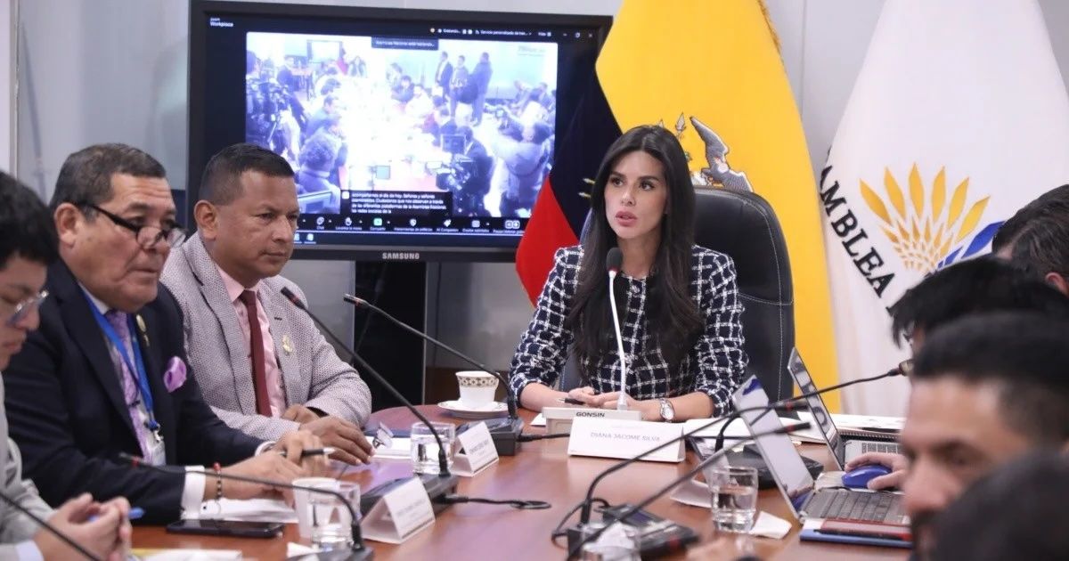 Asamblea Nacional fiscalizará sentencia de la Corte Constitucional sobre cambio de género en adolescentes